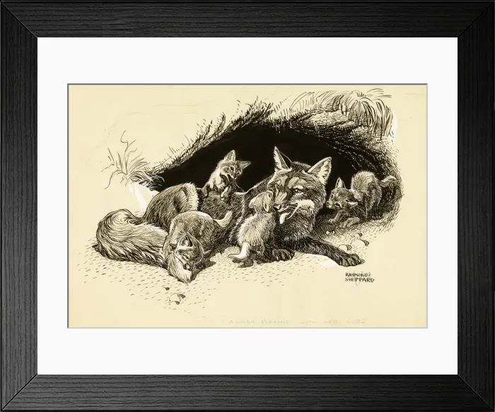 Framed Print : A vixen with her cubs Framed Print : A vixen with her cubs