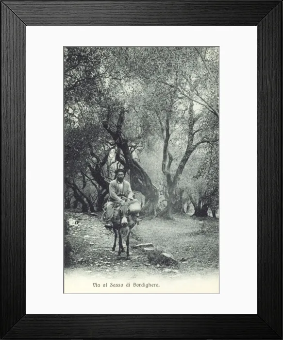 Framed Print : Bordighera, Italy Framed Print : Bordighera, Italy