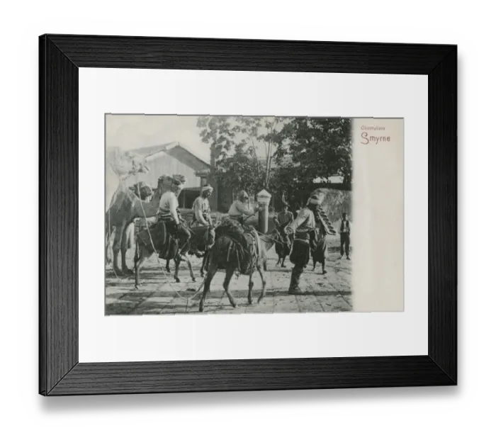 Framed Print : Camel Drivers - Izmir Framed Print : Camel Drivers - Izmir