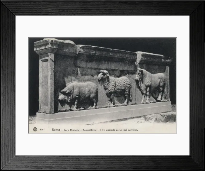 Framed Print : Parade of sacrificial animals Framed Print : Parade of sacrificial animals