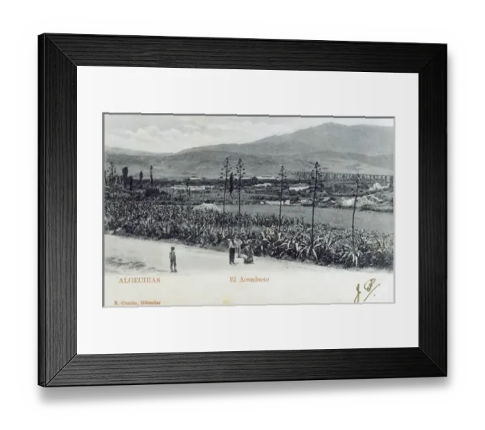 Framed Print : Algeciras, Spain - Yucca Plants and Aqueduct Framed Print : Algeciras, Spain - Yucca Plants and Aqueduct