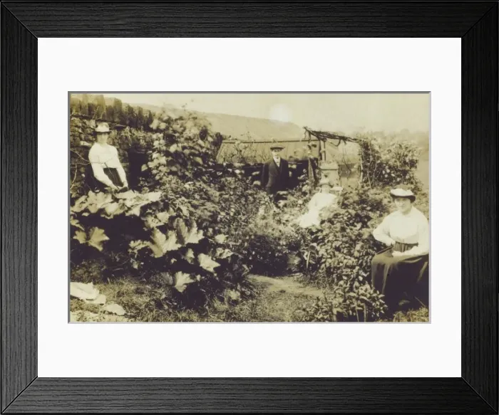 Framed Print : Picture No. 10486981 Framed Print : Picture No. 10486981