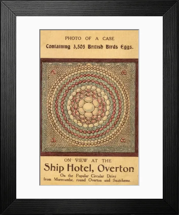 Framed Print : Picture No. 10487042 Framed Print : Picture No. 10487042