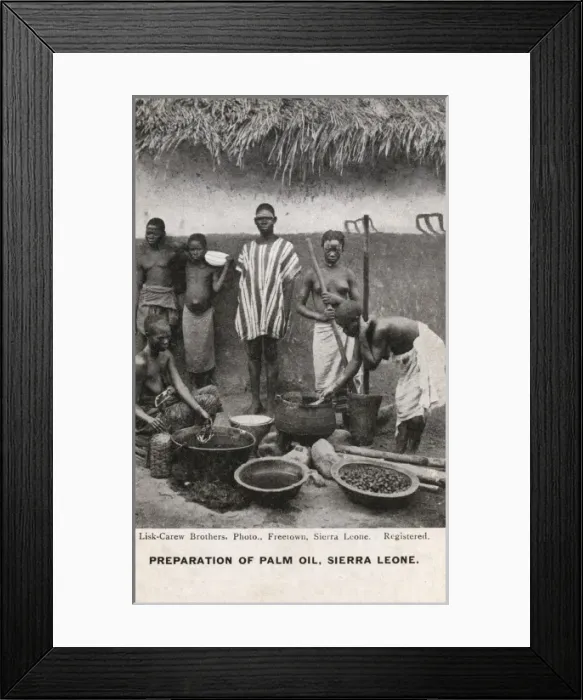Framed Print : Preparation of Palm Oil - Sierra Leone Framed Print : Preparation of Palm Oil - Sierra Leone