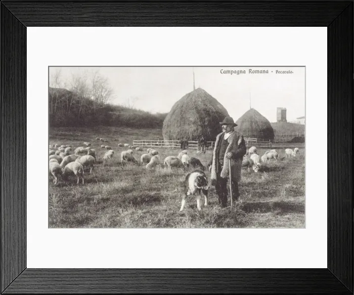 Framed Print : Italian Shepheard - close to Rome Framed Print : Italian Shepheard - close to Rome