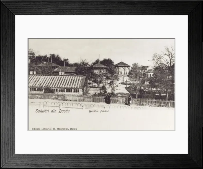 Framed Print : Romania - Bacau - The English Garden Framed Print : Romania - Bacau - The English Garden