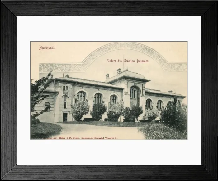 Framed Print : Romania - Bucharest - The Botanical Gardens Framed Print : Romania - Bucharest - The Botanical Gardens