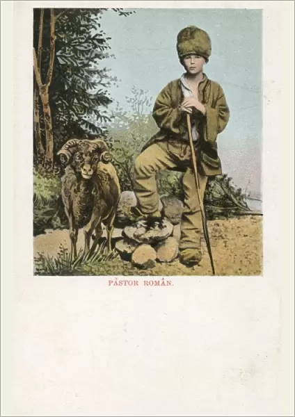 Young Romanian Shepherd with his sheep