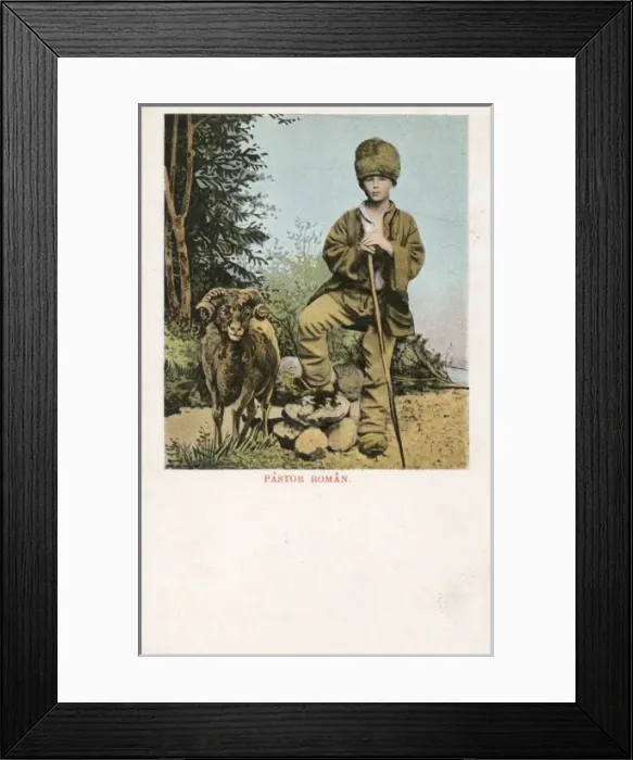 Framed Print : Young Romanian Shepherd with his sheep Framed Print : Young Romanian Shepherd with his sheep