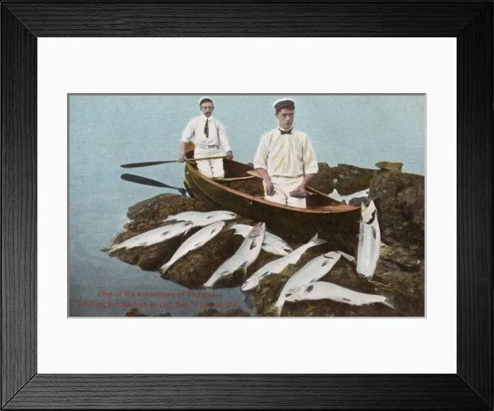 Framed Print : Salmon Trolling - Oak Bay, Victoria, Canada Framed Print : Salmon Trolling - Oak Bay, Victoria, Canada