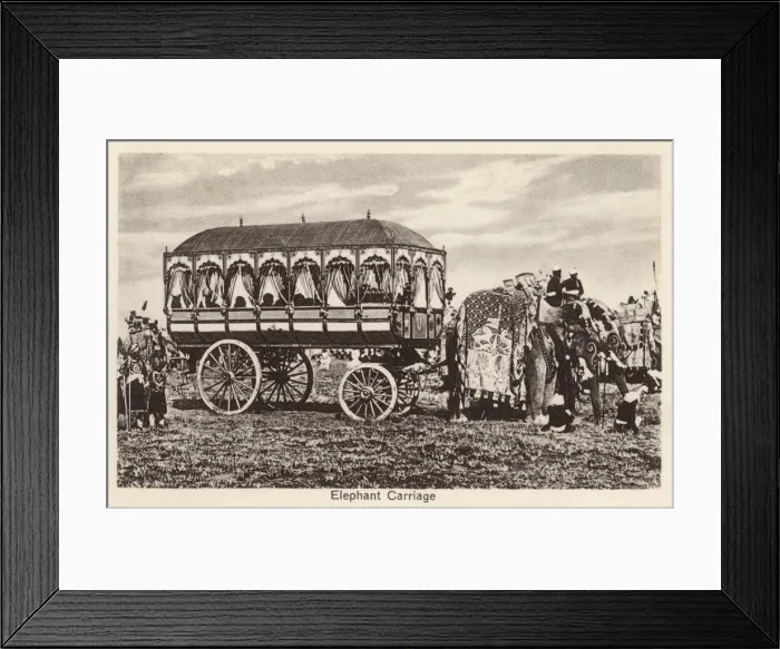 Framed Print : Indian Elephant Carriage - India Framed Print : Indian Elephant Carriage - India