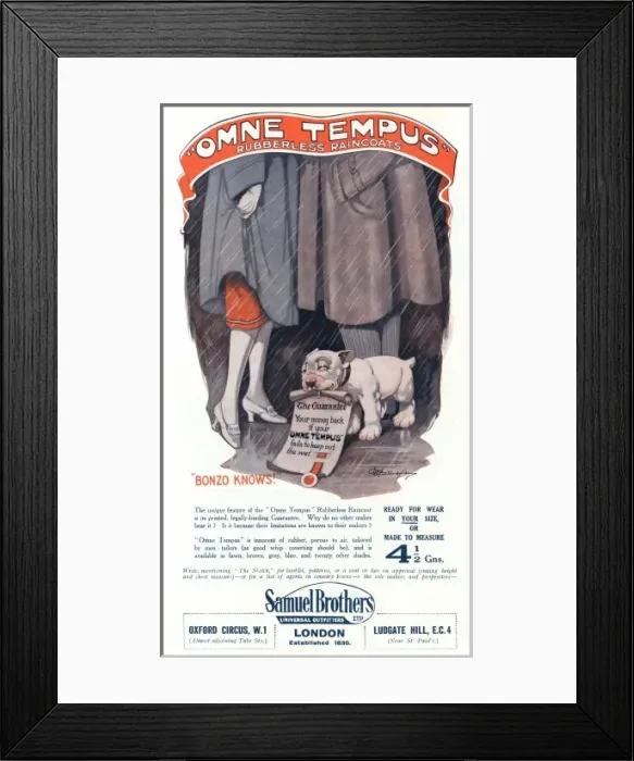 Framed Print : Omne Tempus advertisement Framed Print : Omne Tempus advertisement