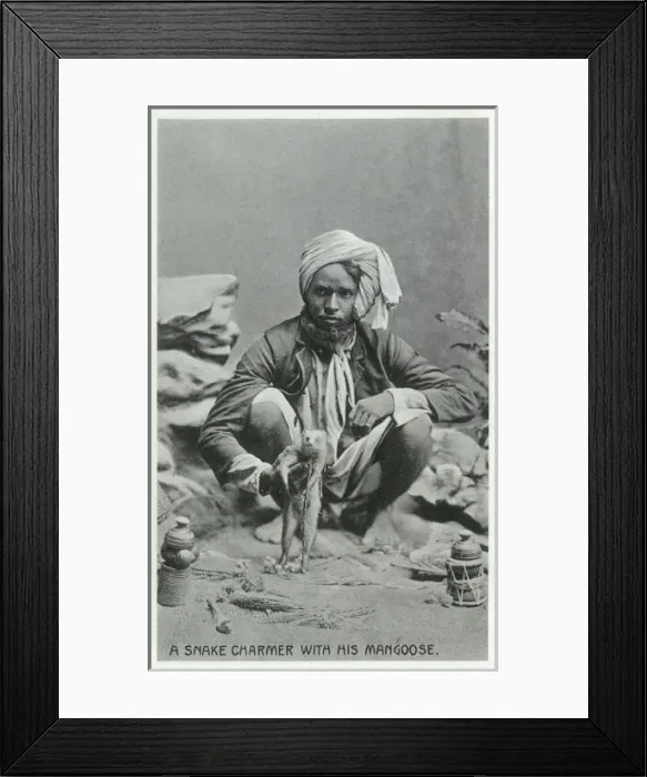 Framed Print : A Snake Charmer with a Mongoose Framed Print : A Snake Charmer with a Mongoose
