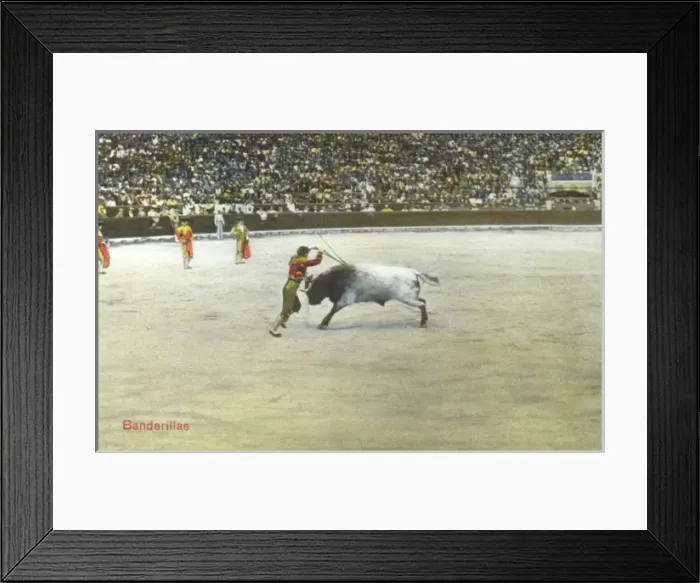 Framed Print : Spanish Bullfighting Series (5  /  12)