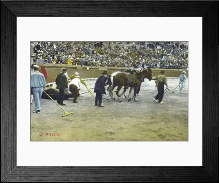 Framed Print : Spanish Bullfighting Series (12 / 12) Framed Print : Spanish Bullfighting Series (12 / 12)