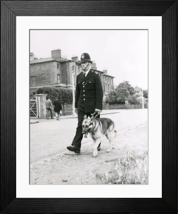 Framed Print : Metropolitan Police officer and his Alsatian dog Framed Print : Metropolitan Police officer and his Alsatian dog