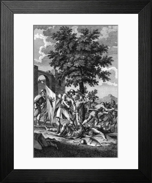 Framed Print : Odun captures Danish Standard Framed Print : Odun captures Danish Standard