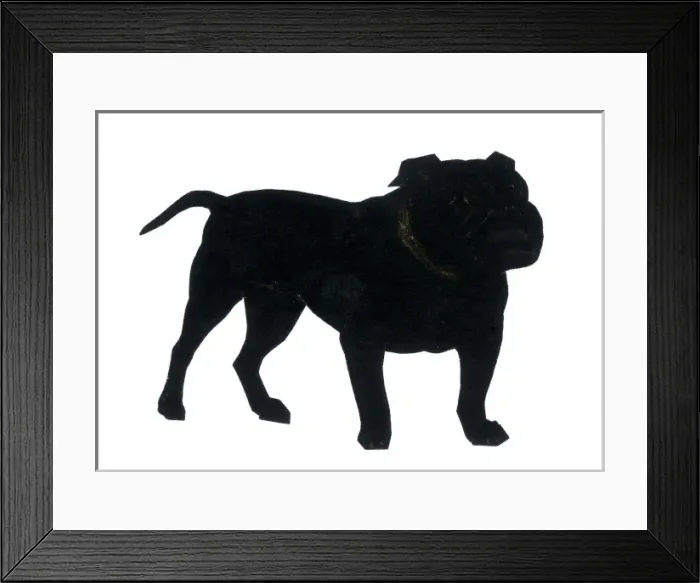 Framed Print : Silhouette of a British bulldog Framed Print : Silhouette of a British bulldog