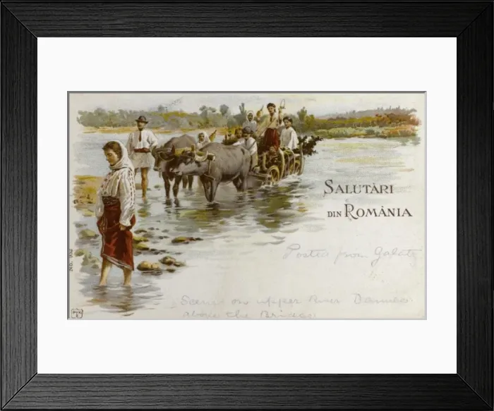 Framed Print : Crossing the Danube by Ox cart - Romania Framed Print : Crossing the Danube by Ox cart - Romania