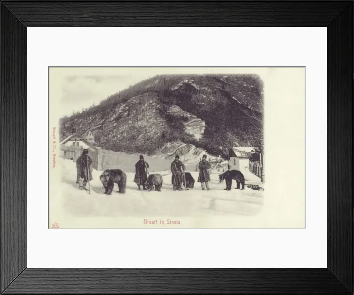 Framed Print : Sinaia, Romania - Bears and handlers Framed Print : Sinaia, Romania - Bears and handlers
