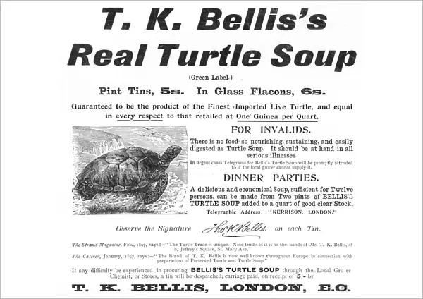 Turtle Soup Advertisement
