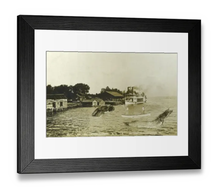 Framed Print : Landing record pike at Winneconne, Wisconsin Framed Print : Landing record pike at Winneconne, Wisconsin