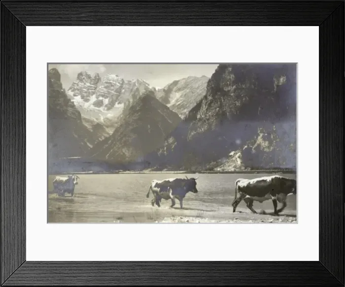 Framed Print : Durensee with a view toward Monte Cristallo Framed Print : Durensee with a view toward Monte Cristallo