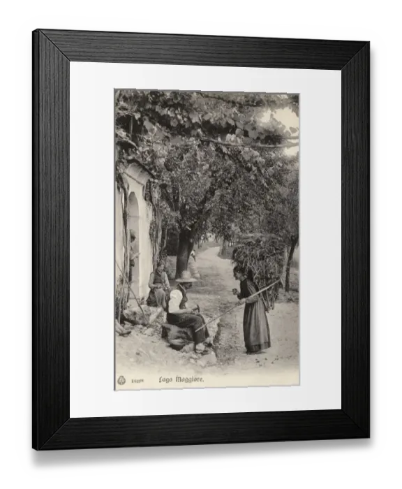Framed Print : Rural scene on the banks of Lake Maggiore Framed Print : Rural scene on the banks of Lake Maggiore