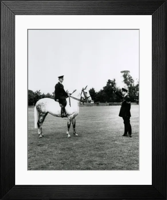 Framed Print : Metropolitan Police officer on horseback in a field Framed Print : Metropolitan Police officer on horseback in a field