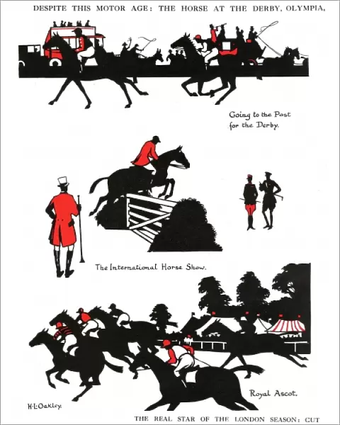 Silhouettes of horses in sporting activities
