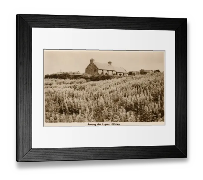 Framed Print : Crofters Cottage, Orkney Framed Print : Crofters Cottage, Orkney