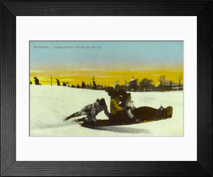 Framed Print : Toboganning on Mount Royal, Montreal Framed Print : Toboganning on Mount Royal, Montreal