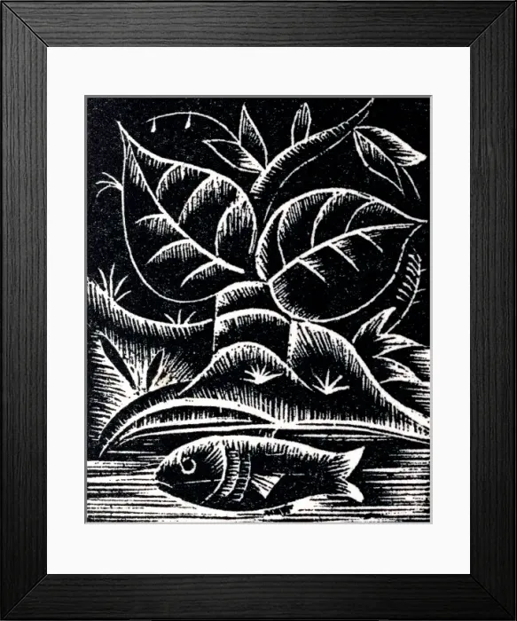 Framed Print : A fish swimming in a river Framed Print : A fish swimming in a river
