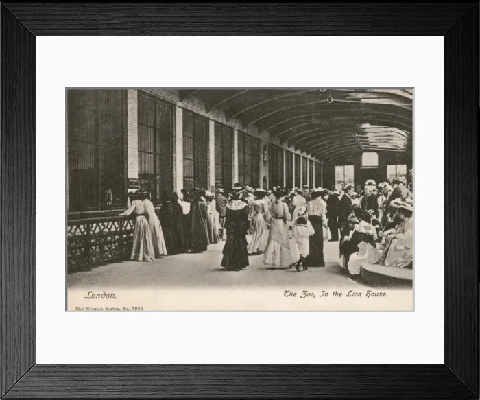 Framed Print : London Zoo 1905 Framed Print : London Zoo 1905