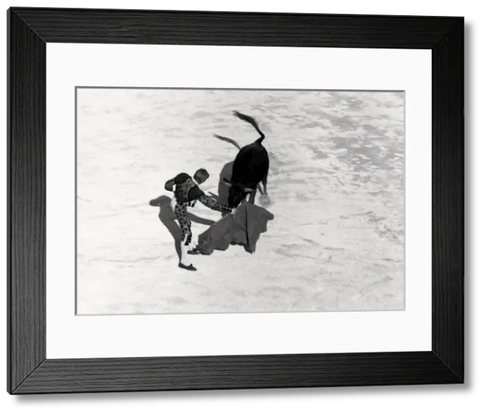 Framed Print : Bullfight in France Framed Print : Bullfight in France