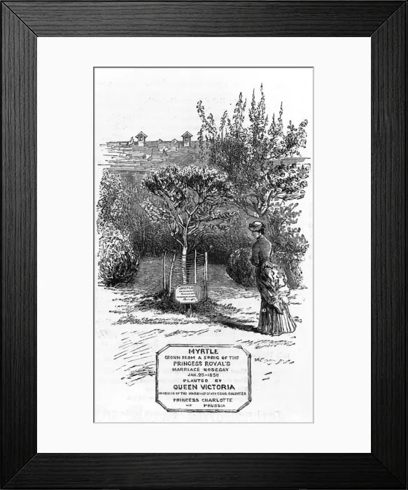 Framed Print : Picture No. 10504470 Framed Print : Picture No. 10504470