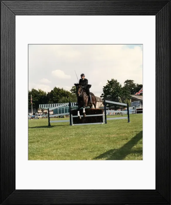 Framed Print : Metropolitan Police officer at showjumping event Framed Print : Metropolitan Police officer at showjumping event