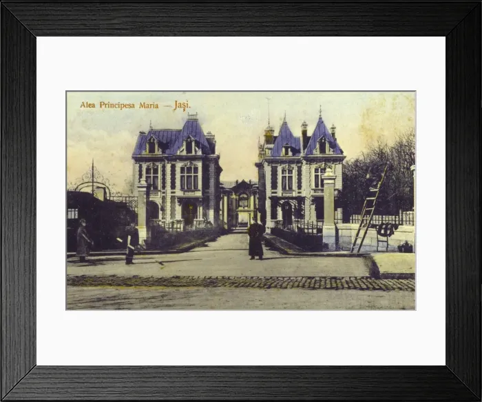 Framed Print : Romania - Iasi - Princess Mary Street Framed Print : Romania - Iasi - Princess Mary Street