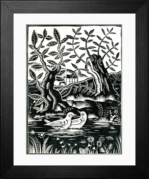 Framed Print : Birds in beautiful surroundings Framed Print : Birds in beautiful surroundings