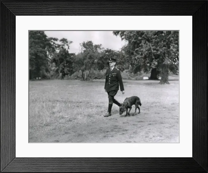 Framed Print : Metropolitan police dog handler with a dog in a field Framed Print : Metropolitan police dog handler with a dog in a field