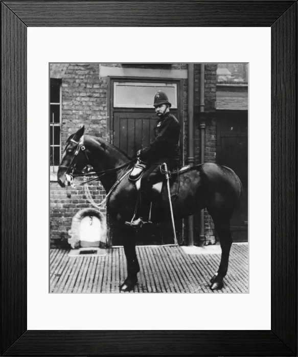 Framed Print : Metropolitan Police officer on horseback Framed Print : Metropolitan Police officer on horseback
