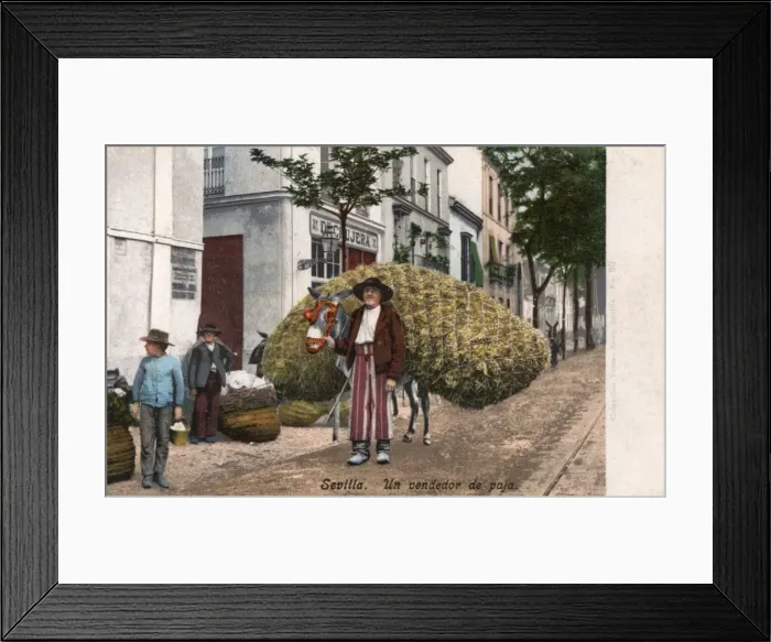 Framed Print : Seville, Spain - A Straw Seller Framed Print : Seville, Spain - A Straw Seller