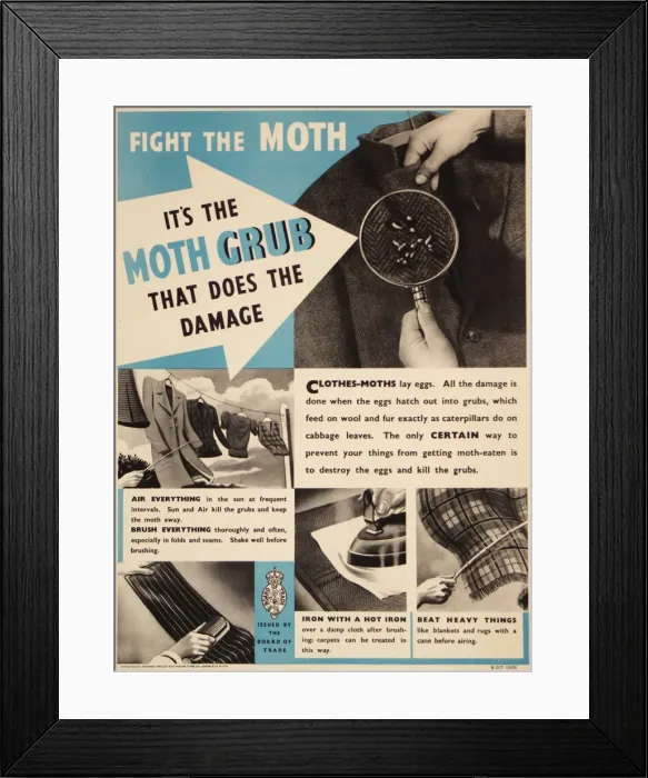 Framed Print : Poster: Fight the Moth Framed Print : Poster: Fight the Moth