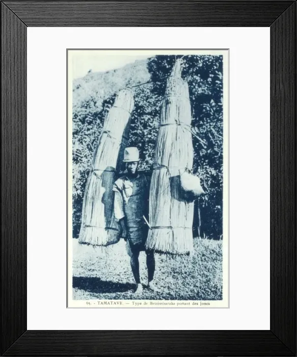 Framed Print : Betsimisaraka man carrying reeds Framed Print : Betsimisaraka man carrying reeds