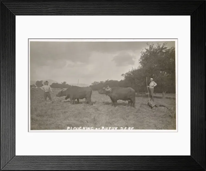 Framed Print : Buyukdere - Village by Bosphorous - Ploughing Framed Print : Buyukdere - Village by Bosphorous - Ploughing