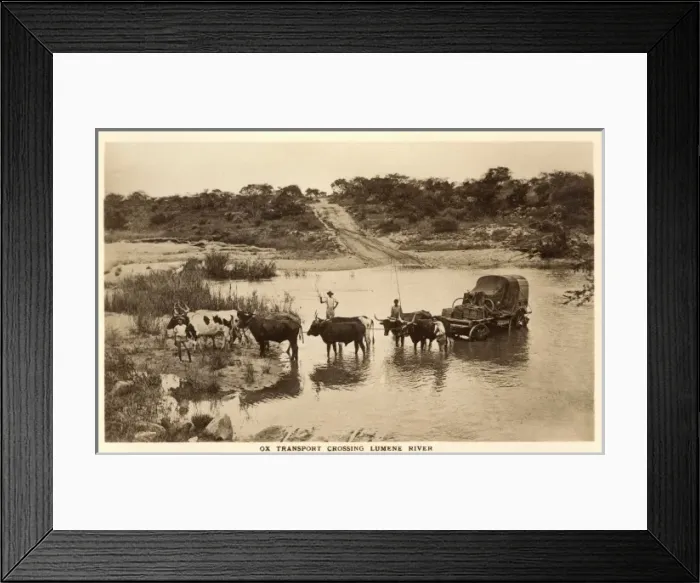 Framed Print : Zimbabwe, Africa - Ox Wagon crossing Lumene River Framed Print : Zimbabwe, Africa - Ox Wagon crossing Lumene River