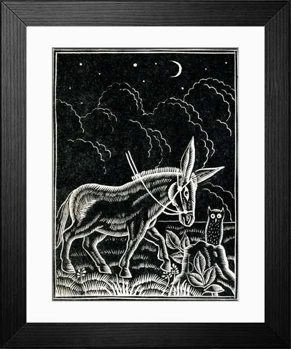 Framed Print : Donkey and owl at night