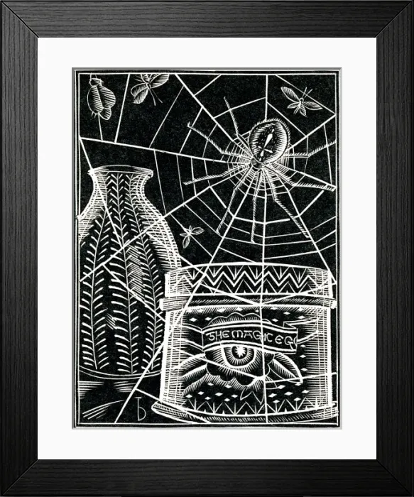 Framed Print : Large spider in web Framed Print : Large spider in web