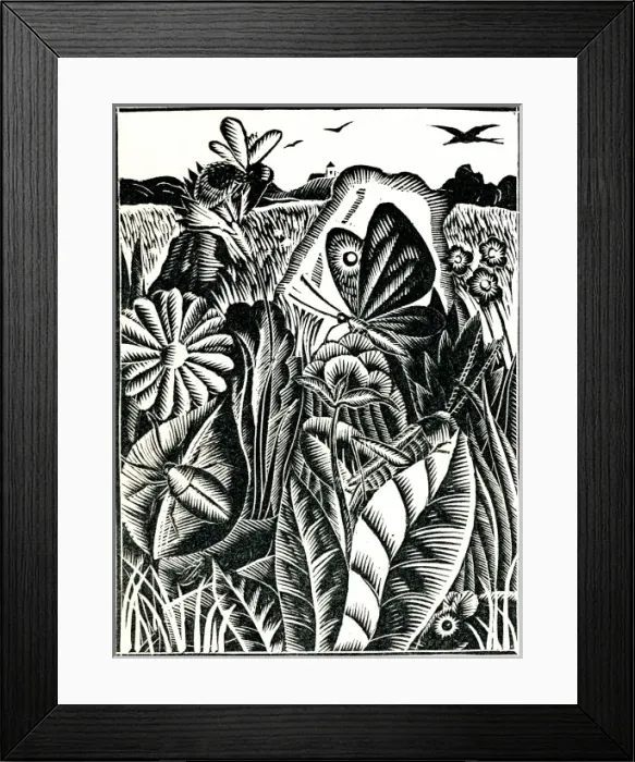 Framed Print : Bugs, butterflies and birds Framed Print : Bugs, butterflies and birds
