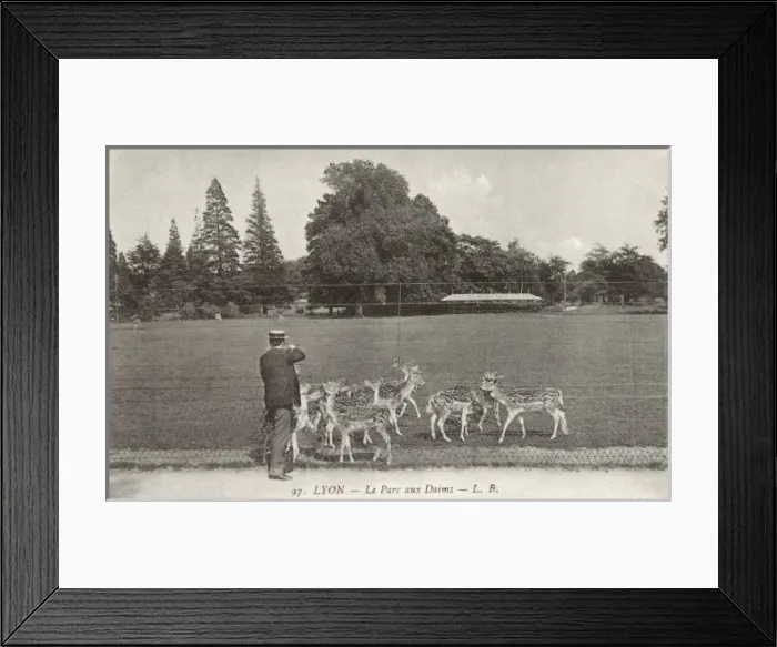 Framed Print : Lyon, France - The Deer Park Framed Print : Lyon, France - The Deer Park